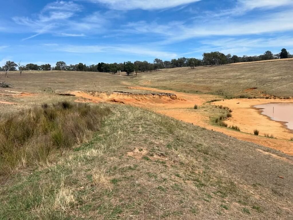 Earthworks contractor Newcastle